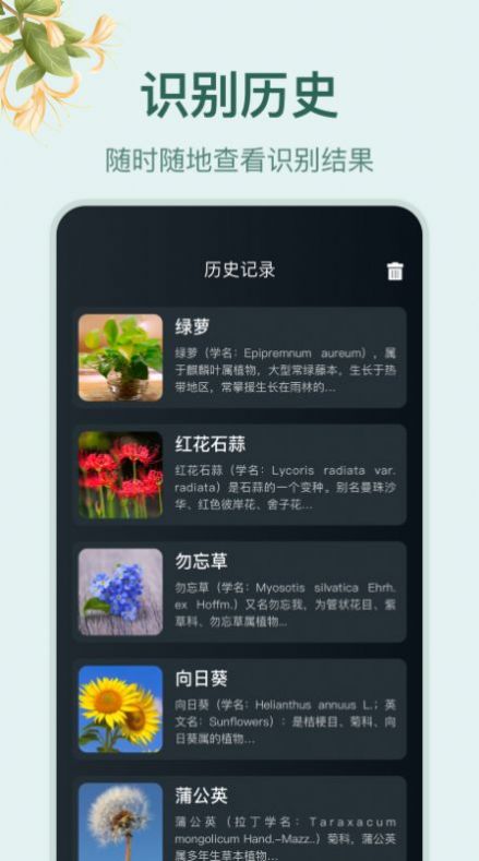 花草百科识别软件[图1]