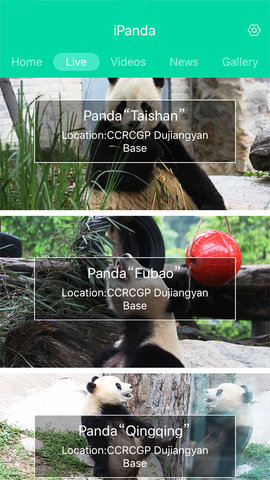 ipanda熊猫频道app[图2]
