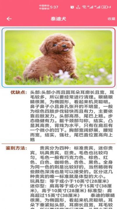 宠物宝宝大全app手机版[图2]