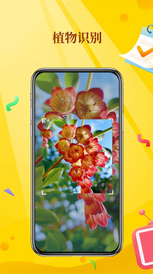 花度拍照识物app官方版[图3]