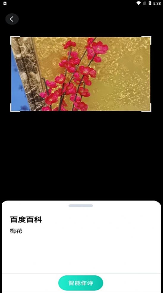 趣萌识别app官方版[图3]