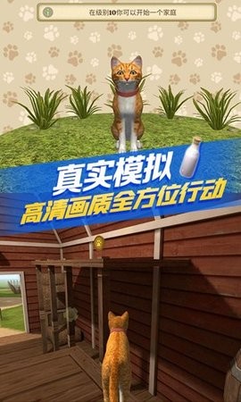 猫咪生存模拟器中文内置菜单[图1]