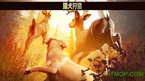 猎鹿人2018中文版[图1]