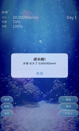 治愈水母养成汉化版[图2]