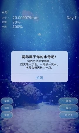 治愈水母养成汉化版[图1]