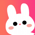 兔兔森林交友app官方版