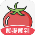 番茄畅看短剧app官方版