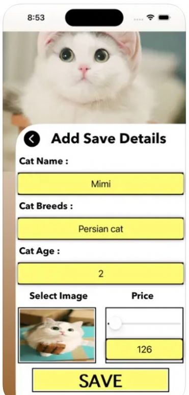 爱猫物语宠物店app变身最新版[图1]