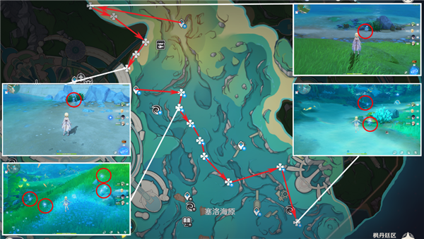 原神海露花在哪里采集？原神海露花分布位置图攻略