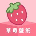 草莓壁纸app官方最新版