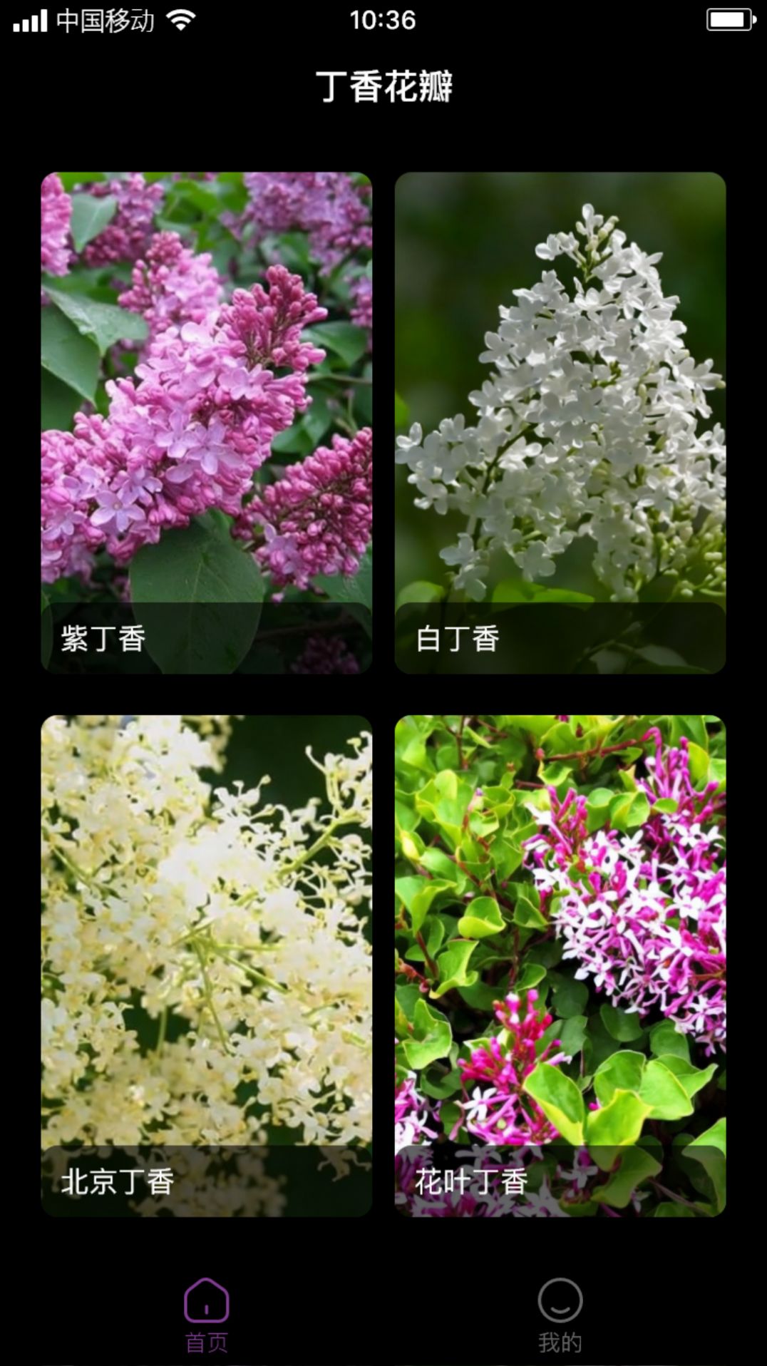 丁香花瓣百科app最新版[图3]