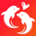 海豚之恋交友软件下载安装