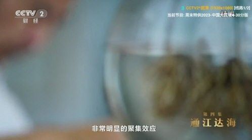 V3TV电视版直播源最新版下载[图1]