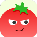 番茄相册大师app安卓版