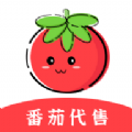 番茄代售交易平台官方版app