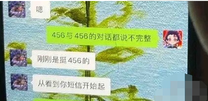 微博评论456什么梗