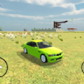 印度农村驾驶的过程游戏官方最新版