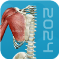 3D肌肉解剖软件下载免费版