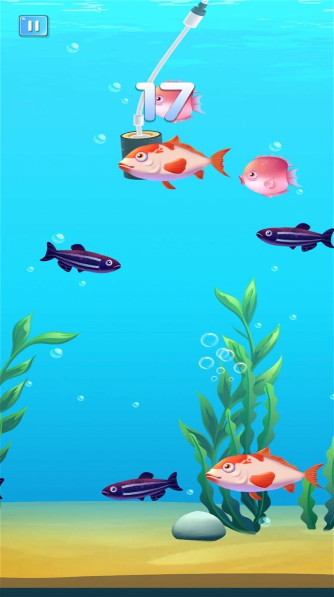 小鱼的吞食逆袭游戏官方版[图1]
