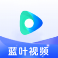 蓝叶视频app官方最新版