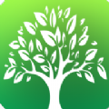 碳和森林环保app官方版