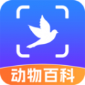 AI动物世界扫描识别app免费版