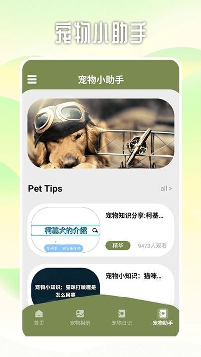 爱游猫助手app官方版[图3]